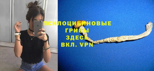 a pvp Аркадак