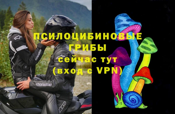 мяу мяу мука Армянск